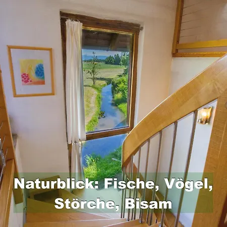 Ferienhaus-schwarzwald-imbirkenweg-bei-strassburg-europapark-fuer-1-12-personen ריינאו