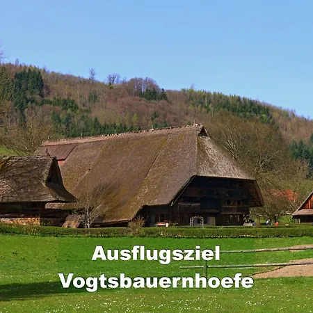 בית נופש Ferienhaus-schwarzwald-imbirkenweg-bei-strassburg-europapark-fuer-1-12-personen ריינאו