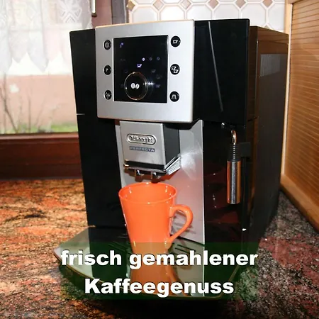 Ferienhaus-schwarzwald-imbirkenweg-bei-strassburg-europapark-fuer-1-12-personen בית נופש