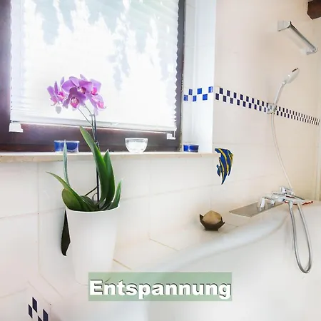 בית נופש Ferienhaus-schwarzwald-imbirkenweg-bei-strassburg-europapark-fuer-1-12-personen *