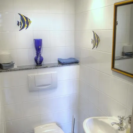 בית נופש Ferienhaus-schwarzwald-imbirkenweg-bei-strassburg-europapark-fuer-1-12-personen