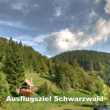 Ferienhaus-schwarzwald-imbirkenweg-bei-strassburg-europapark-fuer-1-12-personen *