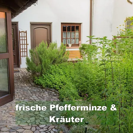 Ferienhaus Ferienhaus-schwarzwald-imbirkenweg-bei-strassburg-europapark-fuer-1-12-personen
