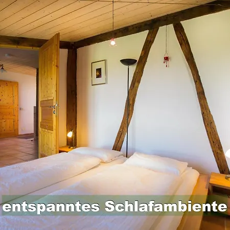 Ferienhaus-schwarzwald-imbirkenweg-bei-strassburg-europapark-fuer-1-12-personen בית נופש