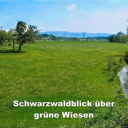 Ferienhaus-schwarzwald-imbirkenweg-bei-strassburg-europapark-fuer-1-12-personen בית נופש ריינאו